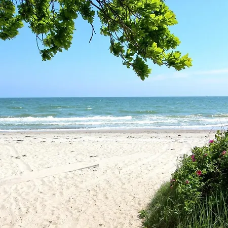 公寓 Strandnahe Mit Balkon, Gratis Nutzung Vom Ahoi Erlebnisbad Und Sauna In Sellin - Rex Rugia 13-5 洛布