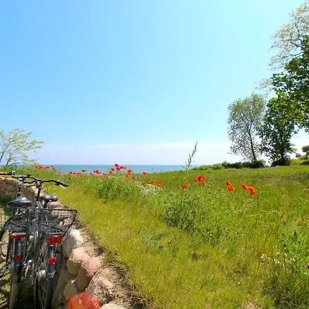 Apartmán Strandnahe Mit Balkon, Gratis Nutzung Vom Ahoi Erlebnisbad Und Sauna In Sellin - Rex Rugia 13-5 Lobbe